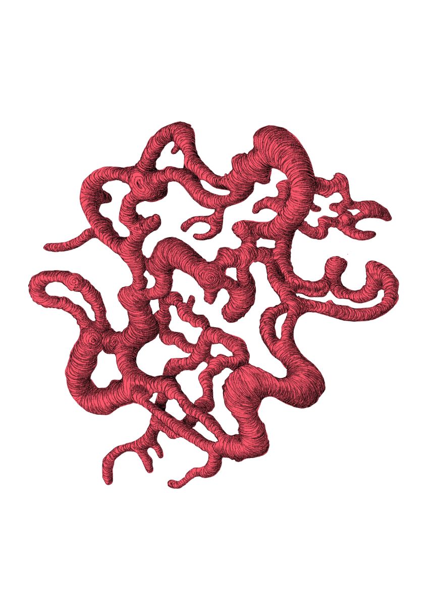 A pink abstract, sinuous, organic coral-like form